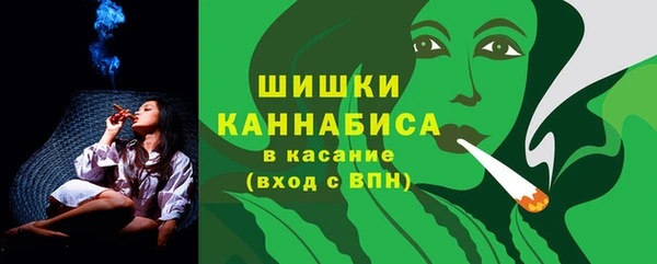 spice Вязьма