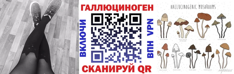 Галлюциногенные грибы Psilocybe купить наркоту mega маркетплейс Давлеканово